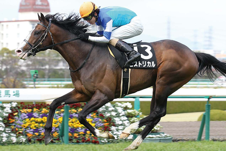 Historical【新種牡馬】