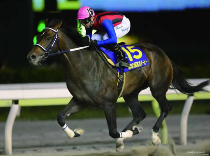 Happy Sprint【新種牡馬】